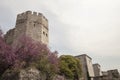 Historical Byzantine city walls, KazlÃÂ±ÃÂ§eÃÅ¸me, Zeytinburnu. TURKEY